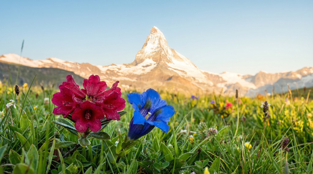 A precision brass compass on a map of Switzerland